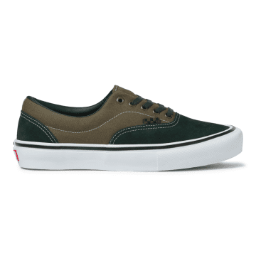 VANS Skate Era Groen (VN0A5FC99CR)