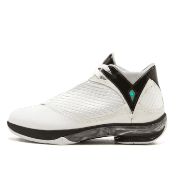 Air Jordan 2009 White Black (343084-161)