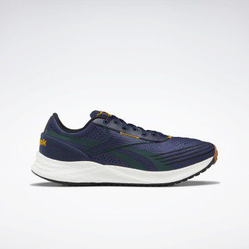 Reebok Floatride Energy City Vector Navy / Forest Green / Core Black (GY4095)