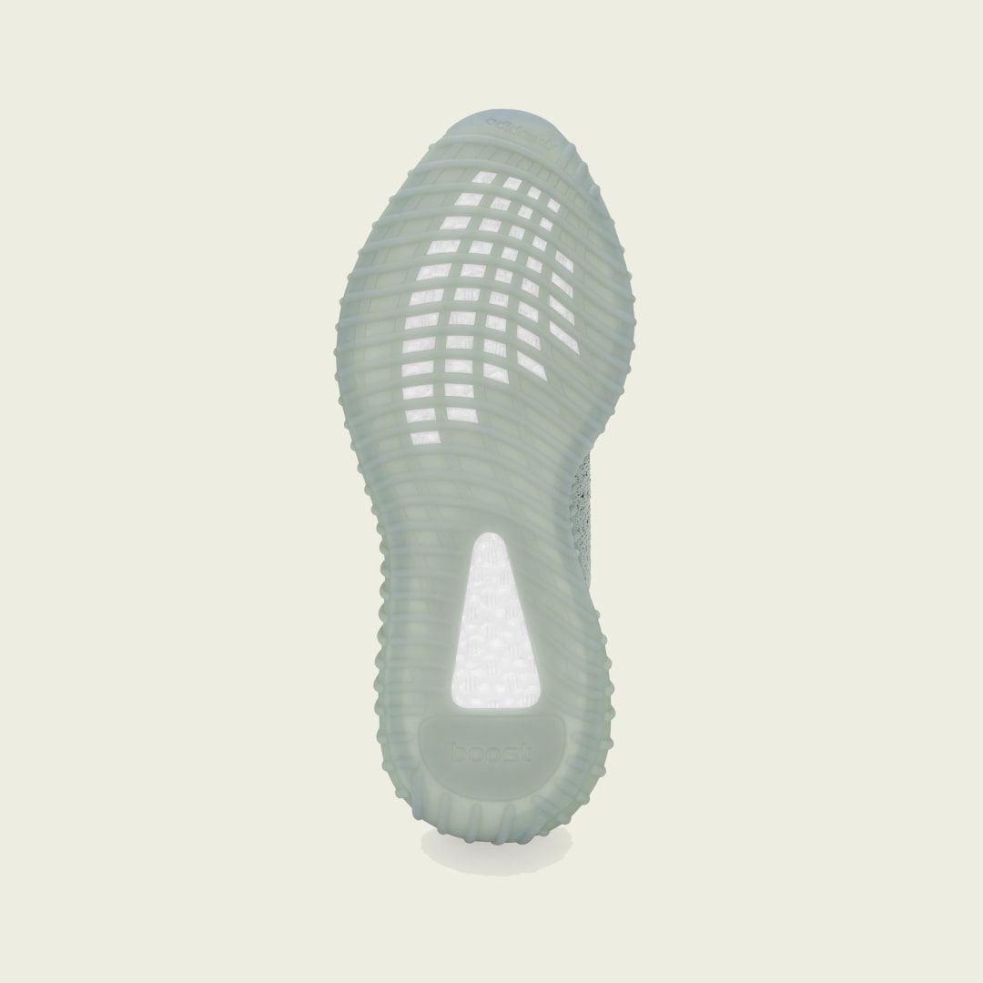adidas YEEZY BOOST 350 V2 Salt / Core Black / Salt (HQ2060)