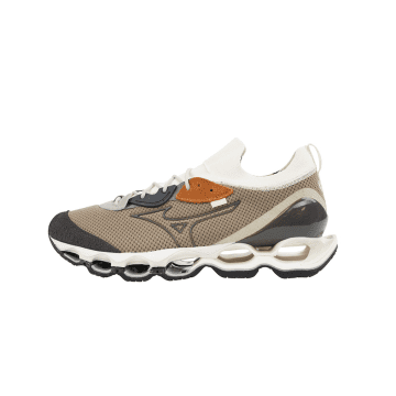 Mizuno Wave Prophecy Beta (D1GA227603)