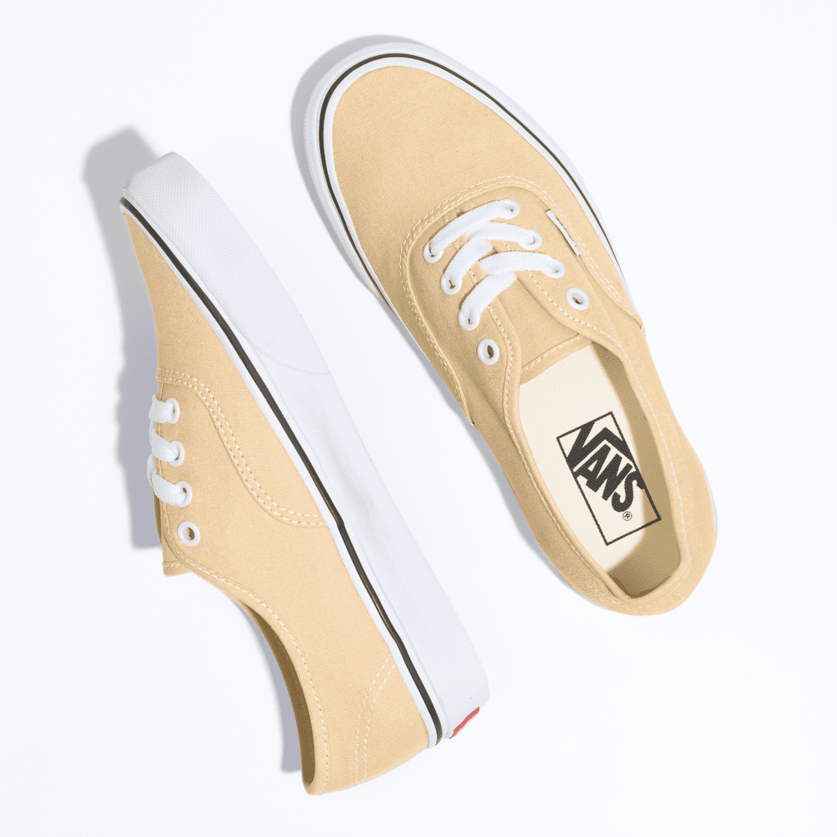 VANS Color Theory Authentic Grijs (VN0A5KS9BLP)