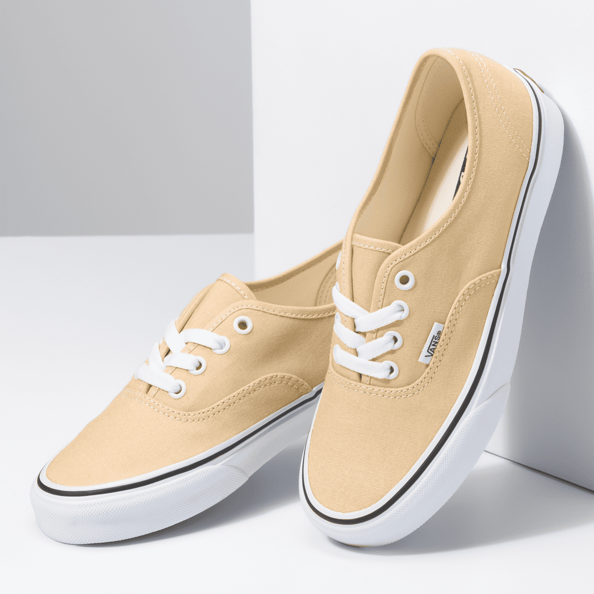VANS Color Theory Authentic Grijs (VN0A5KS9BLP)