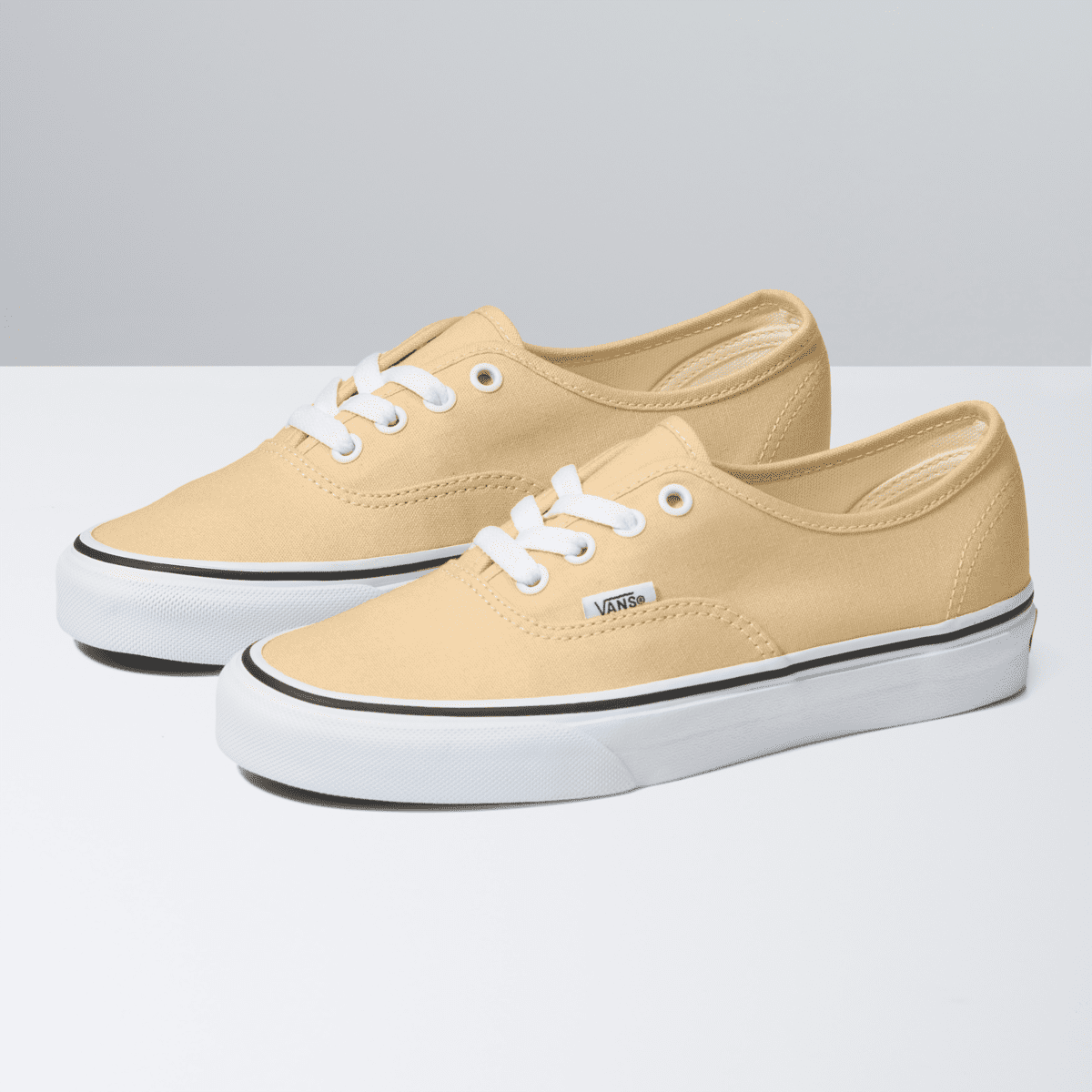 VANS Color Theory Authentic Grijs (VN0A5KS9BLP)