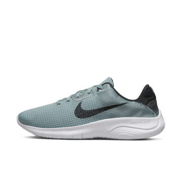 Nike Flex Experience Run 11 Next Nature (straat) Grijs (DD9284-007)