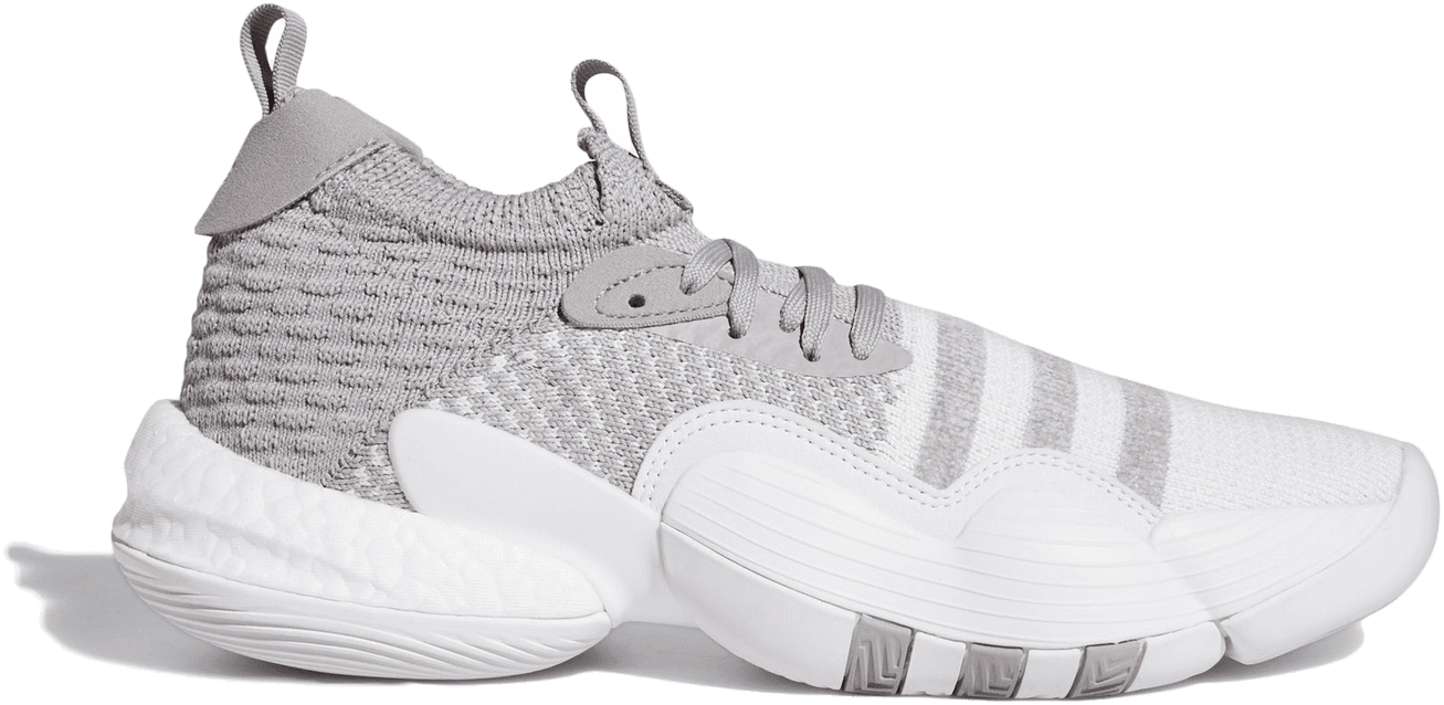 adidas Trae Young 2.0 Grey Moon (H03842)