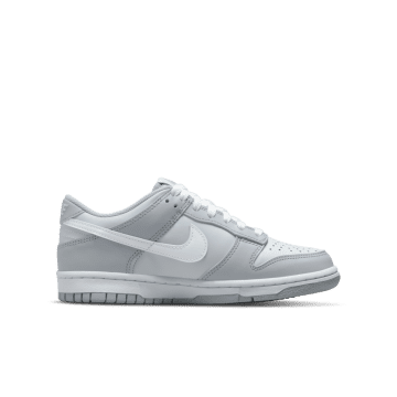Nike Dunk Low Two-Toned Grey (GS) (DH9765-001)