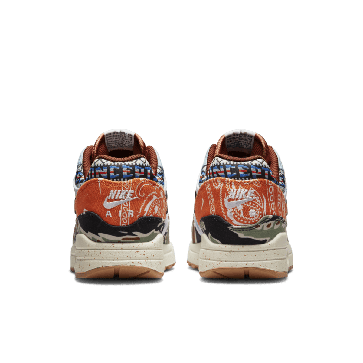 Nike x Concepts Air Max 1 SP Heavy (DN1803-900)