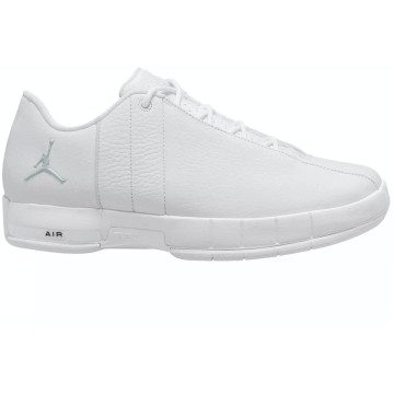 Jordan Team Elite 2 Low White Pure Platinum (AO1696-111)