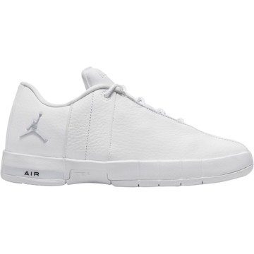 Jordan Team Elite 2 Low White Pure Platinum (GS) (AO1732-111)