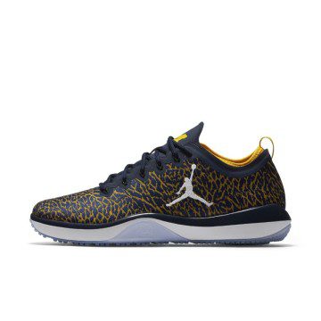 Jordan Trainer 1 Low Michigan (845403-420)