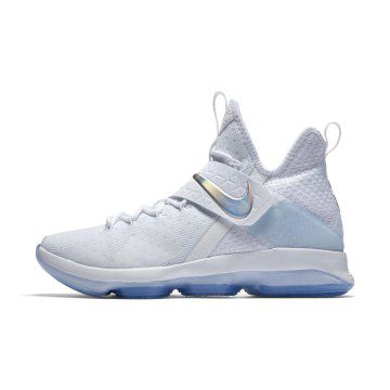 Nike LeBron 14 Time to Shine (860631-900)