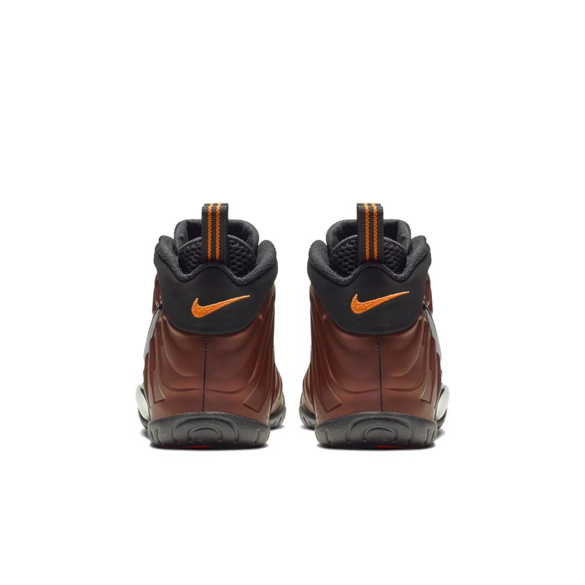Nike Air Foamposite Pro Color Shift (GS) (644792-800)