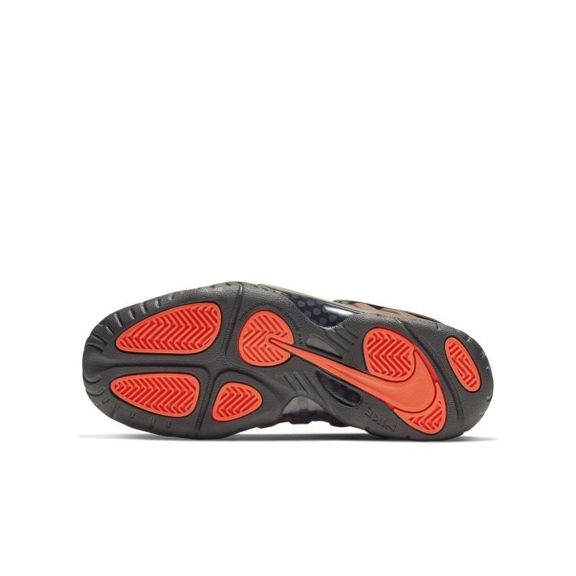 Nike Air Foamposite Pro Color Shift (GS) (644792-800)