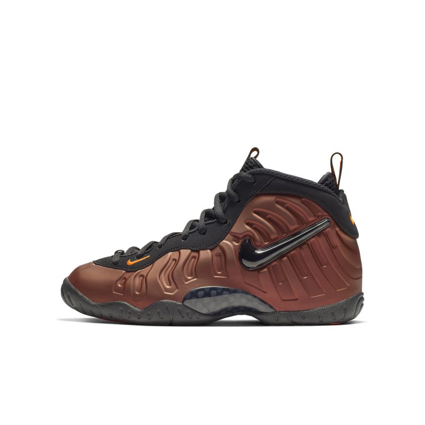 Nike Air Foamposite Pro Color Shift (GS) (644792-800)