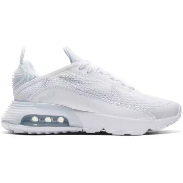 Nike Air Max 2090 White Wolf Grey (GS) (CJ4066-102)