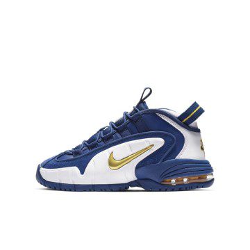 Nike Air Max Penny Warriors (GS) (315519-401)