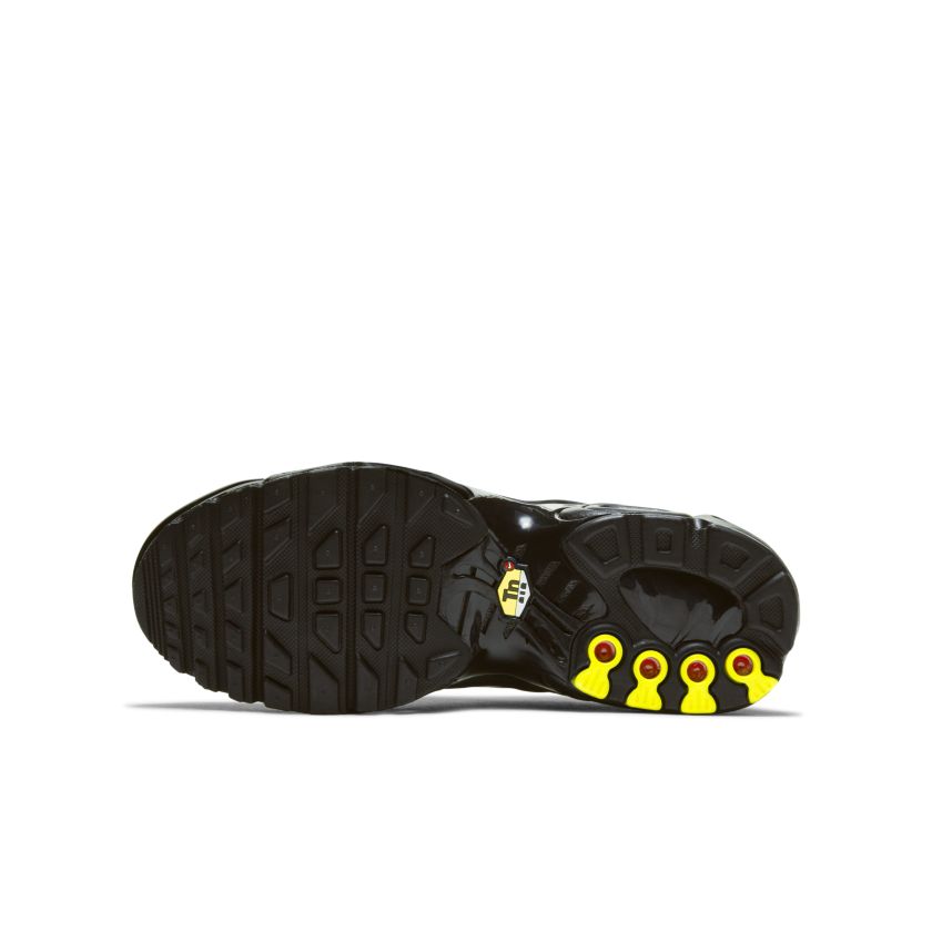 Nike Air Max Plus Black Gold (GS) (CD0609-011)