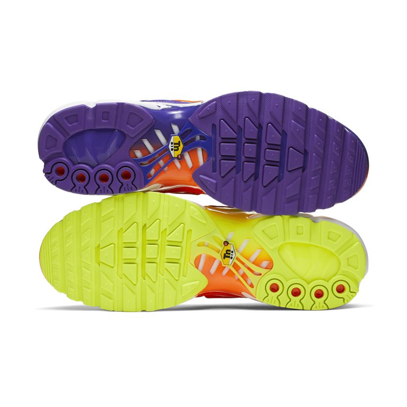 Nike Air Max Plus Color Flip Pack Black (CI5924-061)