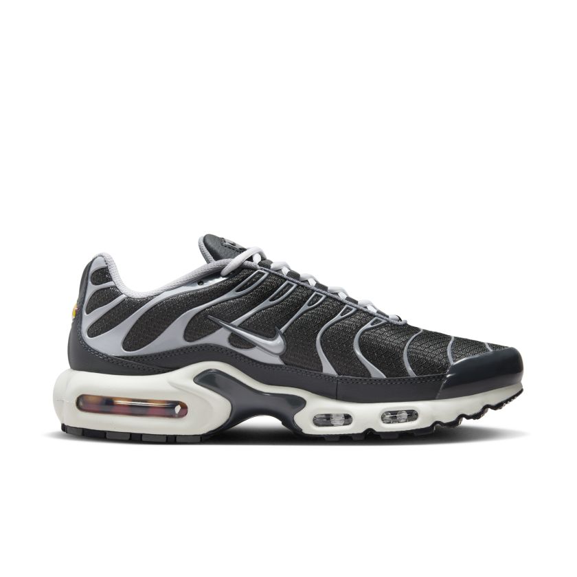 Nike Air Max Plus Greyscale Cool Grey (DZ2655-001)