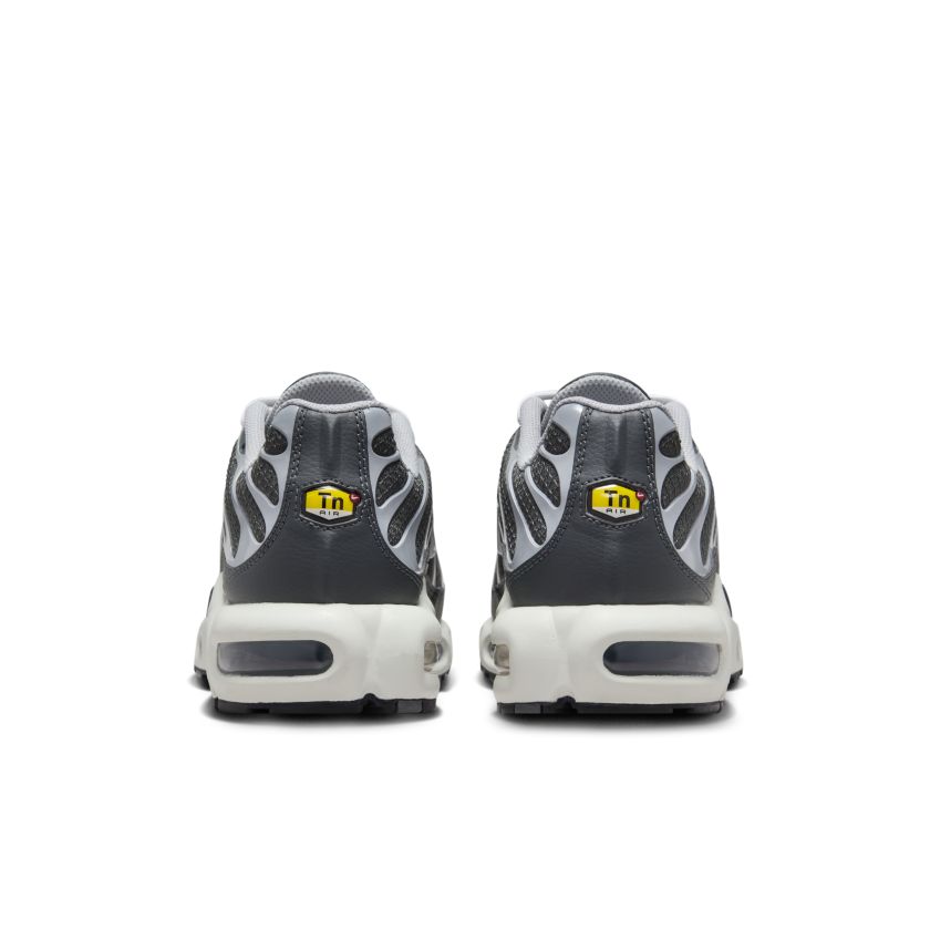 Nike Air Max Plus Greyscale Cool Grey (DZ2655-001)