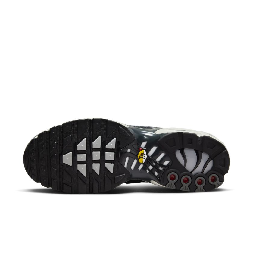Nike Air Max Plus Greyscale Cool Grey (DZ2655-001)