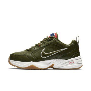 Nike Air Monarch IV Weekend Campout (AV6676-300)
