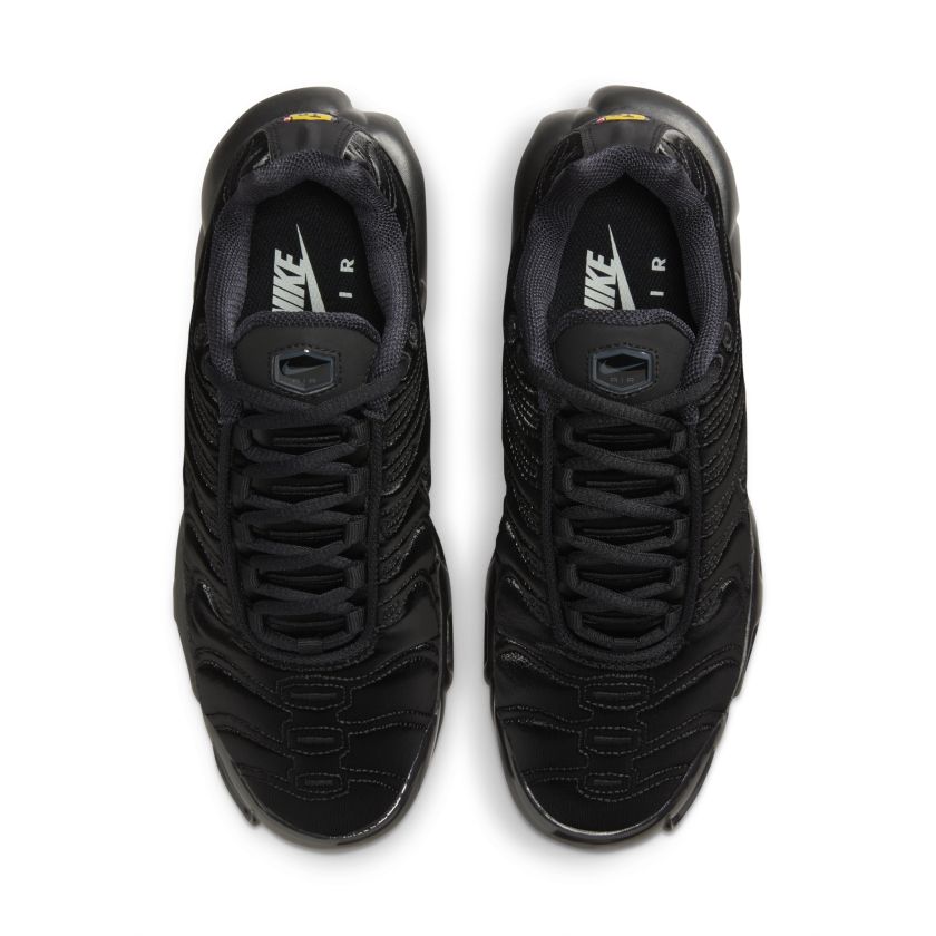 Nike Air Max Plus Black (FV1169-001)