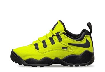 Nike SB x Supreme Air Darwin Low Volt (FQ3000-700)