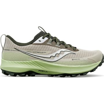 Saucony Peregrine 13 GTX (Grey / Green)
