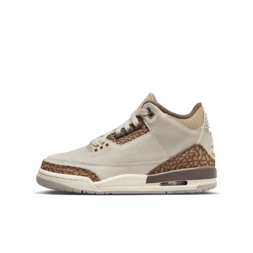 Air Jordan 3 Retro GS Palomino (DM0967-102)