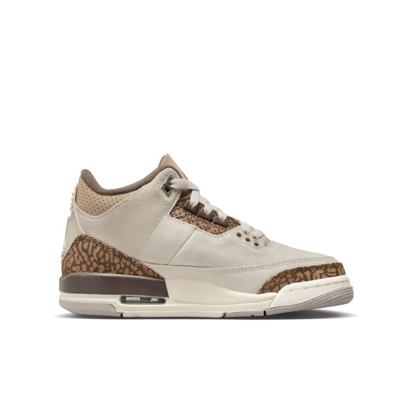 Air Jordan 3 Retro GS Palomino (DM0967-102)