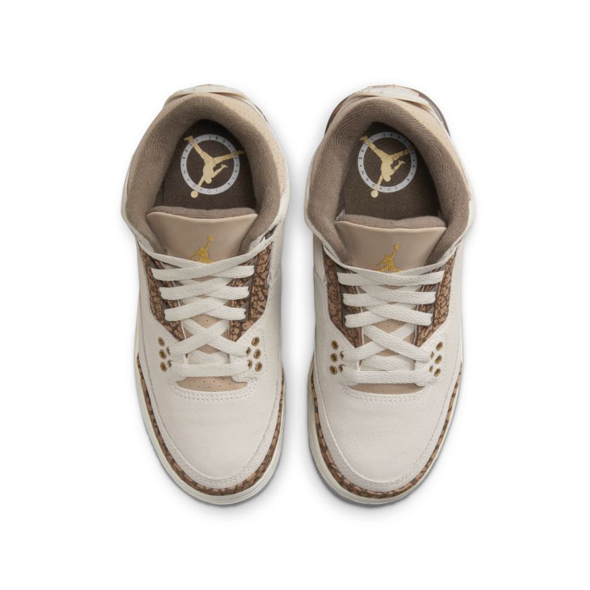 Air Jordan 3 Retro GS Palomino (DM0967-102)