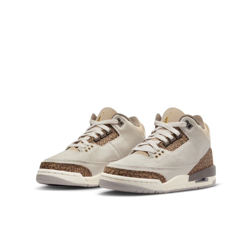 Air Jordan 3 Retro GS Palomino (DM0967-102)