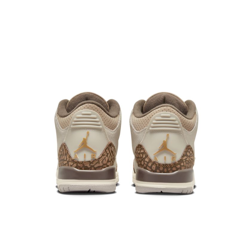 Air Jordan 3 Retro GS Palomino (DM0967-102)