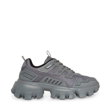 Steve Madden Men Prize Grey