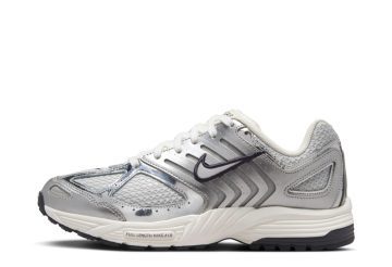 Nike Air Pegasus 2K5 WMNS Chrome (HJ7310-025)