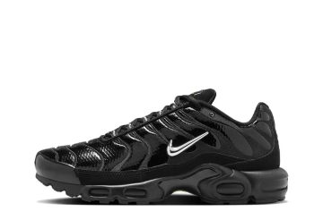 Nike TN Air Max Plus Black Chrome (FJ2591-001)