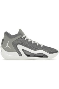 Jordan Tatum 1 Cool Grey (DZ3324-002/DZ3330-002)