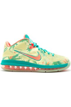 Nike LeBron 9 Low LeBronald Palmer (PE) (BOM338141)
