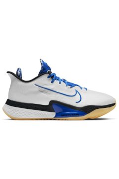 Nike Air Zoom BB NXT EP Hyper Royal (DB9991-100)