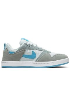 Nike Alleyoop SB Particle Grey Blue (GS) (CJ0883-002)