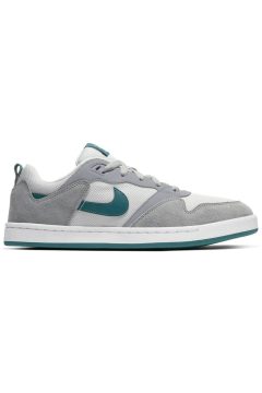 Nike Alleyoop SB Particle Grey Geode Teal (CJ0882-003)