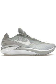Nike Air Zoom GT Cut 2 TB Wolf Grey (FJ8915-001)