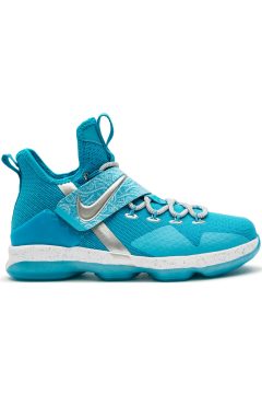 Nike LeBron 14 Ric Flair (GS) (AA3258-404)