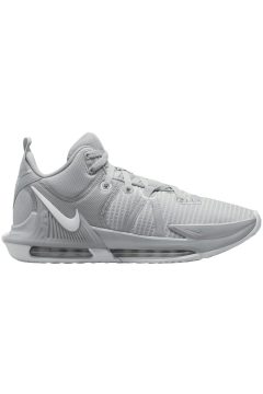 Nike LeBron Witness 7 TB Wolf Grey (DZ3299-002)
