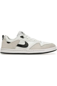 Nike Sb Alleyoop White (CJ0882-100)