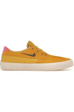 Nike SB Shane T Pollen (CU9224-700)