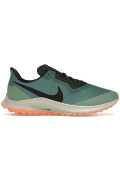 Nike Zoom Pegasus 36 Trail Gore-Tex Bicoastal (Women’s) (BV7763-300)